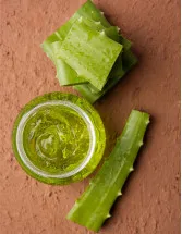 Aloe Vera Extracts Market Analysis APAC, North America, Europe, South America, Middle East and Africa - US, Canada, China, India, Germany - Size and Forecast 2024-2028