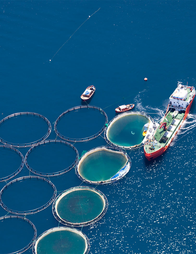 Fishing Aquaculture Nets Market Analysis APAC, North America, Europe, South America, Middle East and Africa - US, China, Thailand, India, Vietnam - Size and Forecast 2024-2028