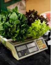 Commercial Food Scales Market Analysis APAC, North America, Europe, South America, Middle East and Africa - US, Canada, China, Japan, India - Size and Forecast 2024-2028