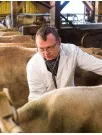 Mastitis Detectors Market Analysis Europe, Asia, North America, Rest of World (ROW) - US, New Zealand, Germany, UK, India - Size and Forecast 2024-2028