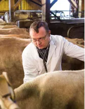 Mastitis Detectors Market Analysis Europe, Asia, North America, Rest of World (ROW) - US, New Zealand, Germany, UK, India - Size and Forecast 2024-2028