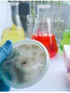 Biocides Market Analysis North America, APAC, Europe, South America, Middle East and Africa - US, China, Japan, Germany, France - Size and Forecast 2024-2028
