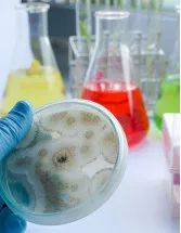 Biocides Market Analysis North America, APAC, Europe, South America, Middle East and Africa - US, China, Japan, Germany, France - Size and Forecast 2024-2028