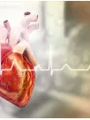 Heart Valves Market Analysis North America, Europe, Asia, Rest of World (ROW) - US, Canada, UK, Japan, China - Size and Forecast 2024-2028