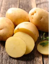 Potato Market Analysis APAC, Europe, North America, Middle East and Africa, South America - US, China, India, France, Germany - Size and Forecast 2024-2028