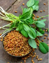 Vegetable Seeds Market Analysis APAC, North America, Europe, South America, Middle East and Africa - US, Canada, China, France, Brazil - Size and Forecast 2024-2028
