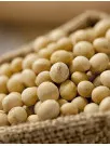 Soybean Seed Market Analysis North America, APAC, South America, Europe, Middle East and Africa - US, China, India, Brazil, Argentina - Size and Forecast 2024-2028