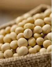 Soybean Seed Market Analysis North America, APAC, South America, Europe, Middle East and Africa - US, China, India, Brazil, Argentina - Size and Forecast 2024-2028