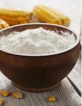 Starch Market Analysis APAC, North America, Europe, South America, Middle East and Africa - US, China, India, France, Germany - Size and Forecast 2024-2028