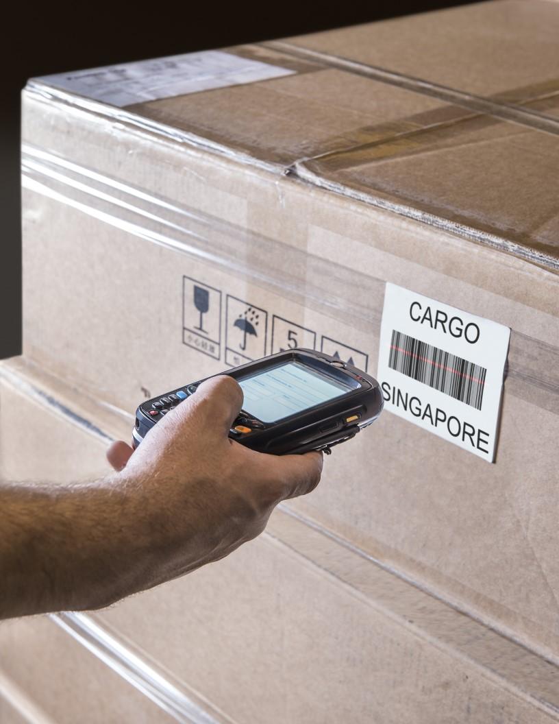 Barcode Scanner Market Analysis, Size, and Forecast 2025-2029: North America (US and Canada), Europe (France, Germany, and UK), APAC (China, India, Japan, and South Korea), South America (Brazil), and Rest of World (ROW)