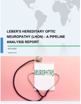 Lebers Hereditary Optic Neuropathy (LHON) - A Pipeline Analysis Report 