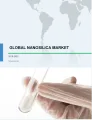 Nanosilica Market by Type, Application, and Geography - Global Forecast and Analysis 2019-2023
