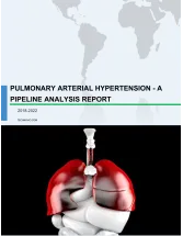 Pulmonary Arterial Hypertension - A Pipeline Analysis Report