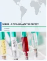 Rabies - A Pipeline Analysis Report