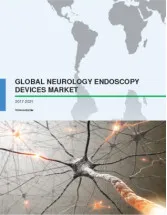 Global Neurology Endoscopy Devices Market 2017-2021