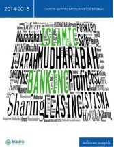 Global Islamic Microfinance Market 2014-2018