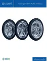 Passenger Car Tire Market in Mexico 2015-2019