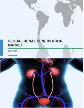 Global Renal Denervation Market 2016-2020