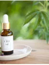 Cannabidiol (CBD) Skin Care Market Analysis North America, Europe, APAC, South America, Middle East and Africa - US, Canada, Germany, Japan, UK - Size and Forecast 2024-2028