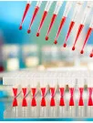 High Throughput Screening (HTS) Market Analysis North America,Europe,Asia,Rest of World (ROW) - US,Japan,China,Germany,France - Size and Forecast 2024-2028