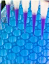 Liquid Biopsy Market by Technology and Geography - Forecast and Analysis 2022-2026