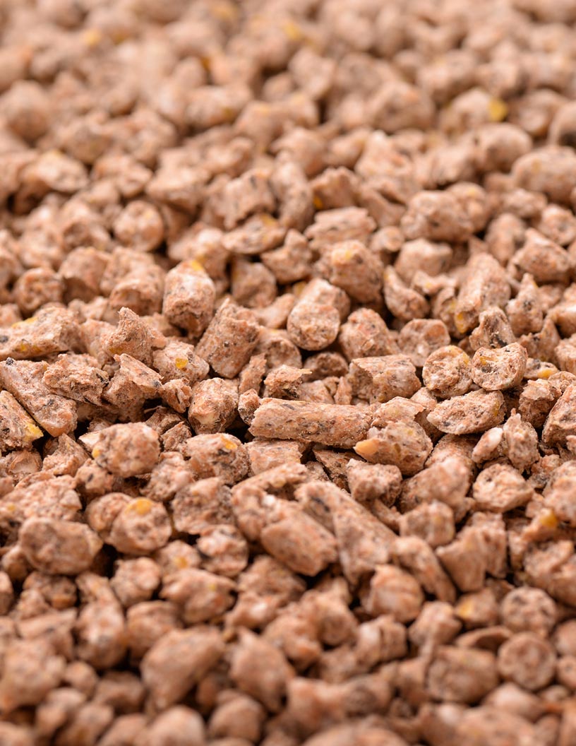 Compound Feed Market Analysis North America, Europe, APAC, South America, Middle East and Africa - US, UK, China, Canada, France - Size and Forecast 2024-2028