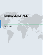 Tantalum Market by Product, End-user, and Geography - Forecast and Analysis 2020-2024