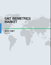 Gait Biometrics Market Analysis, Size, and Forecast 2025-2029: North America (US and Canada), Europe (France, Germany, Italy, UK), APAC (China, India, Japan, South Korea), South America , and Middle East and Africa