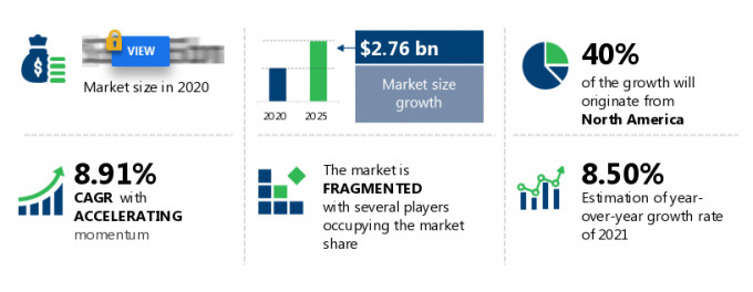 Facial Injectables Market Size