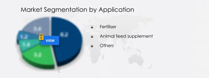 Phosphate Market Segmentation