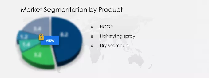 Hair Styling Products Market Segmentation