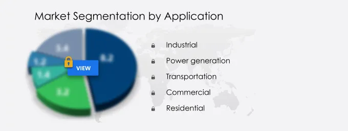 Coalbed Methane Market Segmentation