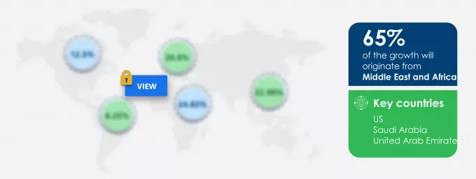 Camel Milk Market Market segmentation by region