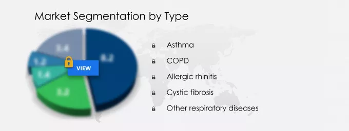Respiratory Drugs Market Segmentation