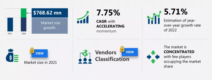 Vegan Supplements Market Size