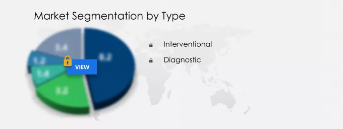Peripheral Guidewires Market Segmentation