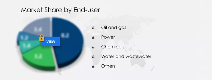 Industry Check Valves Market Share
