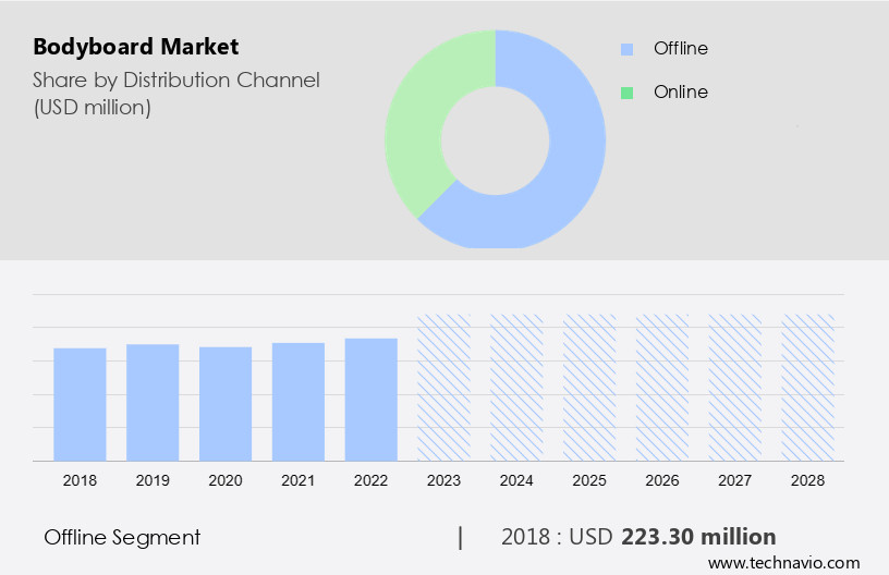 Bodyboard Market Size