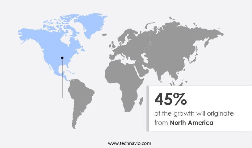 Patch-Based Wound Healing Market Share by Geography