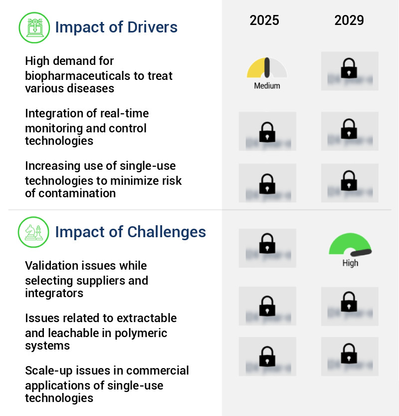 Single-Use Bioprocessing System Market Size