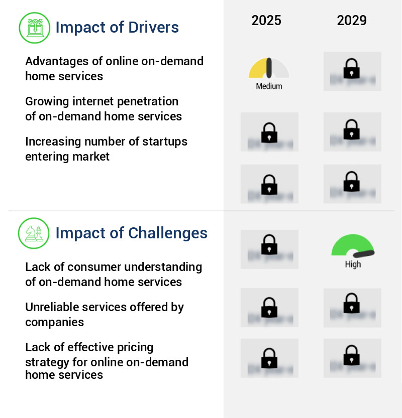 Online On-Demand Home Services Market Size