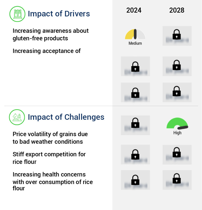 Rice Flour Market Market Size