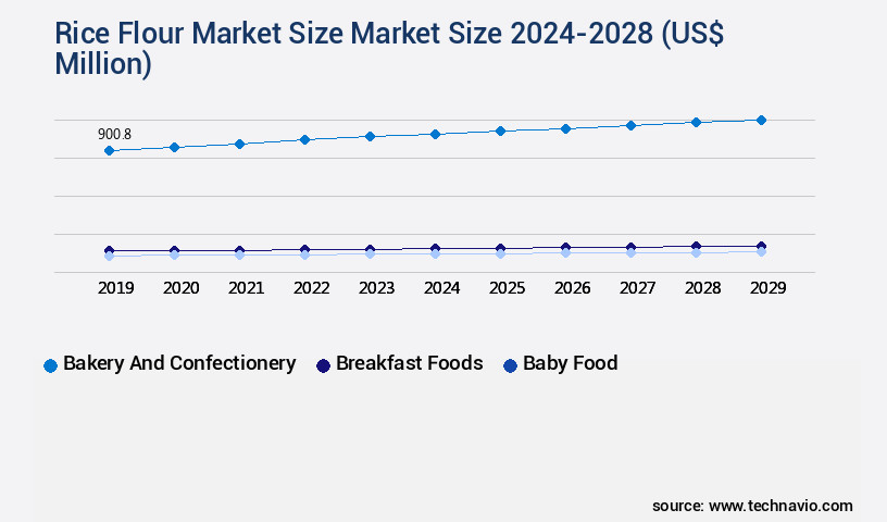 Rice Flour Market Market Size