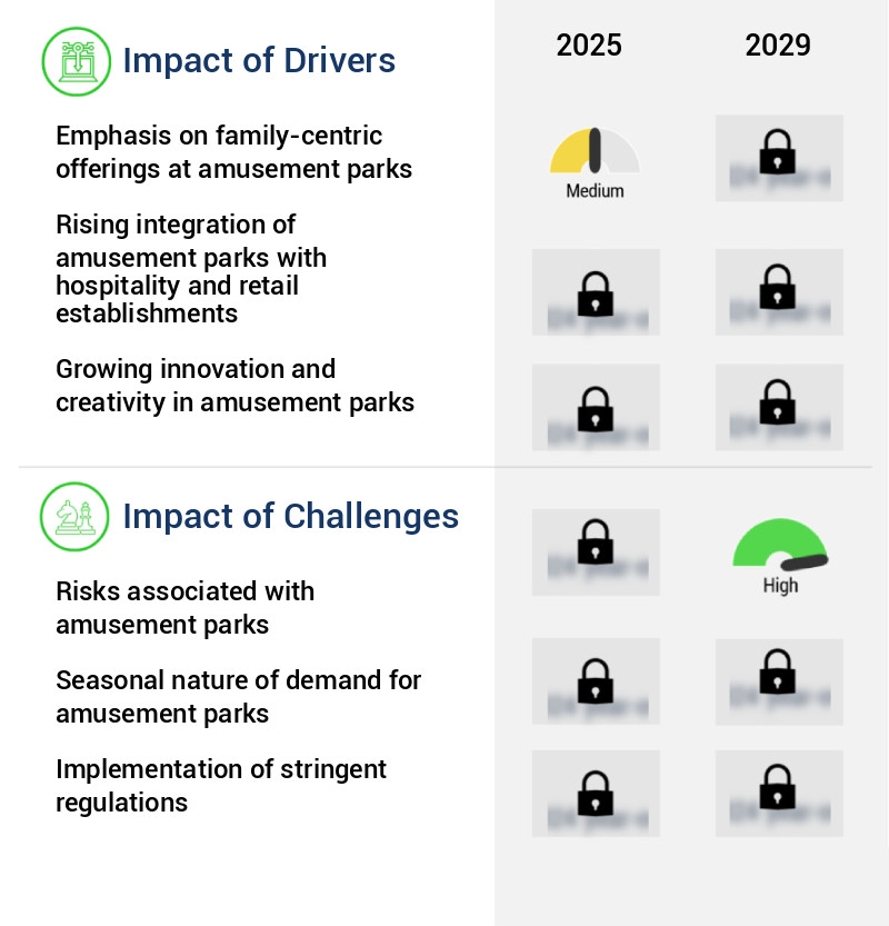 Amusement Park Market Size