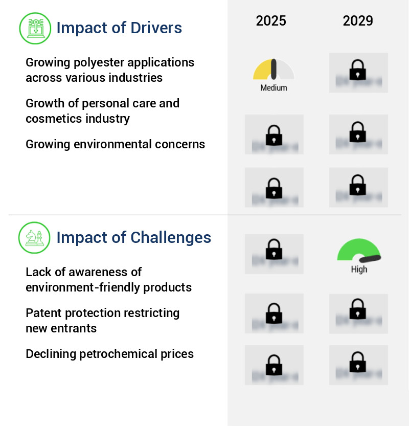 1, 3-Propanediol (PDO) Market Size