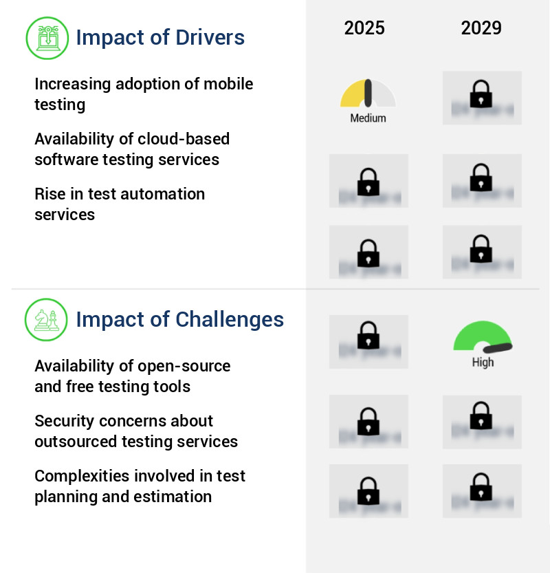 Software Testing Services Market Size