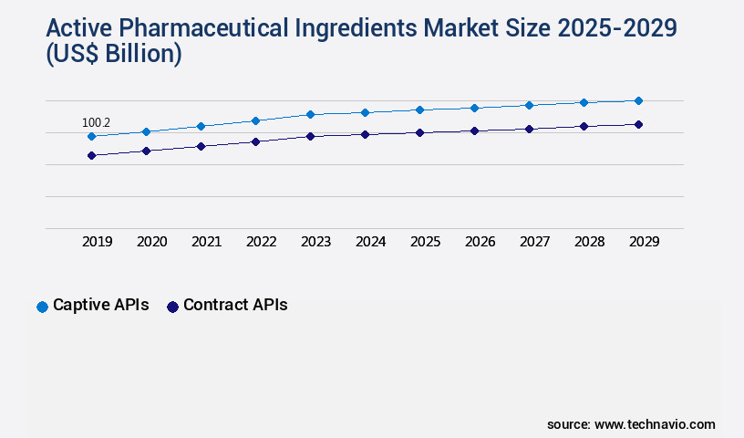 Active Pharmaceutical Ingredients Market Size
