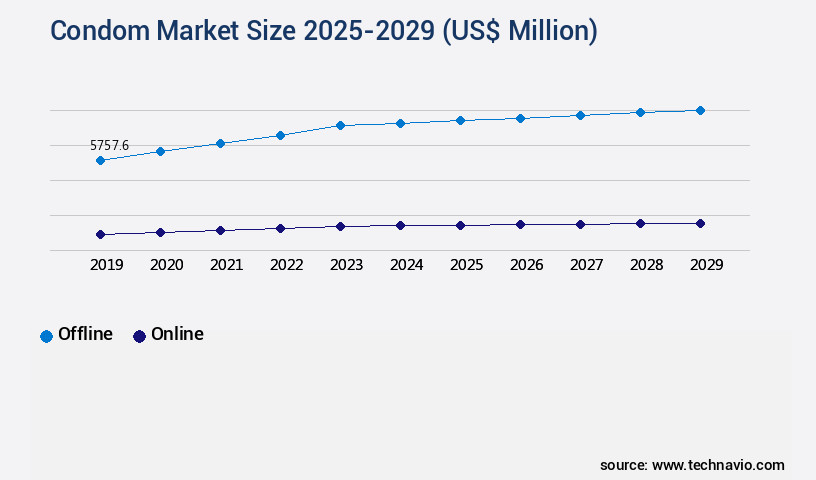 Condom Market Size