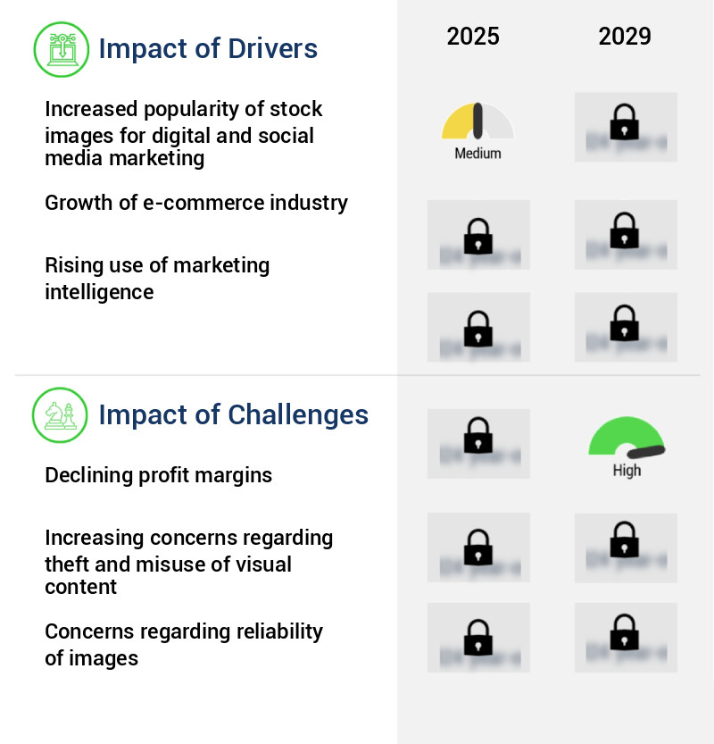 Stock Images Market Size