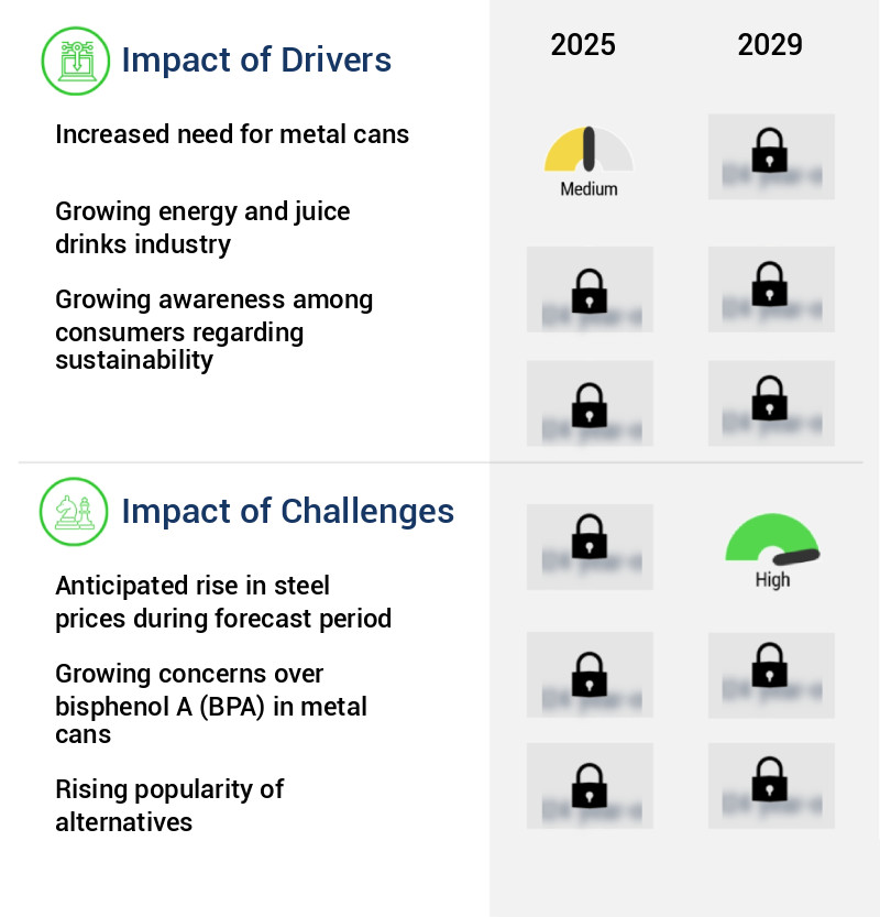 Beverage Can Market Size
